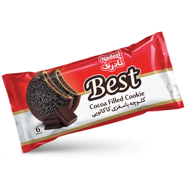 BEST Chocolate Cookies – Family Pack of 6