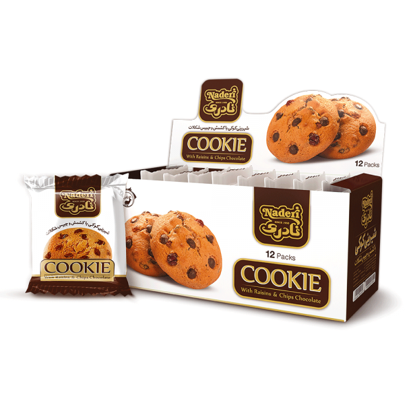 Raisin Chocolate Chip Cookie