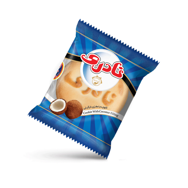 Picnic Coconut Cookies (Box of 40 Twin Packs)